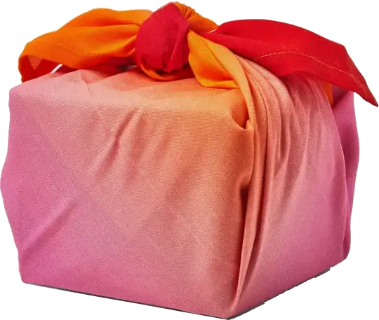 Un cadeau emballé qui sert de lien interactif pour découvrir un conseil quotidien pour un mode de vie sain.